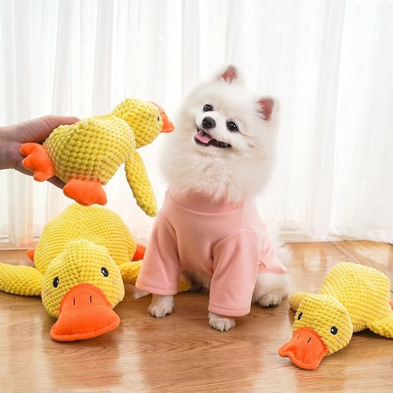 Interactive Squeaky Plush Toy MultiSensory Teething Boredom Relief For Small Medium Pets 3