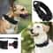 Tactical Dog Collar Bungee Leash Set MilitaryGrade Training Gear For Medium Large Breeds 2