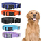 Adjustable Nylon Pet Collar HeavyDuty Neck Band For Cats SmalltoMedium Dogs 1