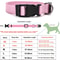 Adjustable Nylon Pet Collar HeavyDuty Neck Band For Cats SmalltoMedium Dogs 12