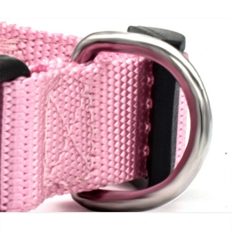 Adjustable Nylon Pet Collar HeavyDuty Neck Band For Cats SmalltoMedium Dogs 5