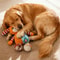 Interactive Squeaky Plush Toy BiteResistant Puzzle Chew For Dental Health Enrichment 5