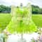 Spring Princess Pet Dress Lace Striped Skirt For Puppies Cats 9