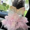 Spring Princess Pet Dress Lace Striped Skirt For Puppies Cats 3