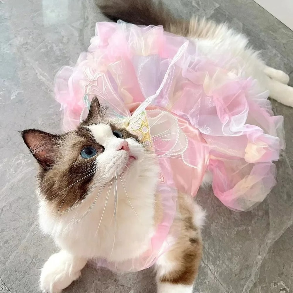 Spring Princess Pet Dress Lace Striped Skirt For Puppies Cats 4