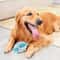 Hedgehog SlowFeeder Ball Interactive Dental Care Food Dispensing Toy For Dogs 1
