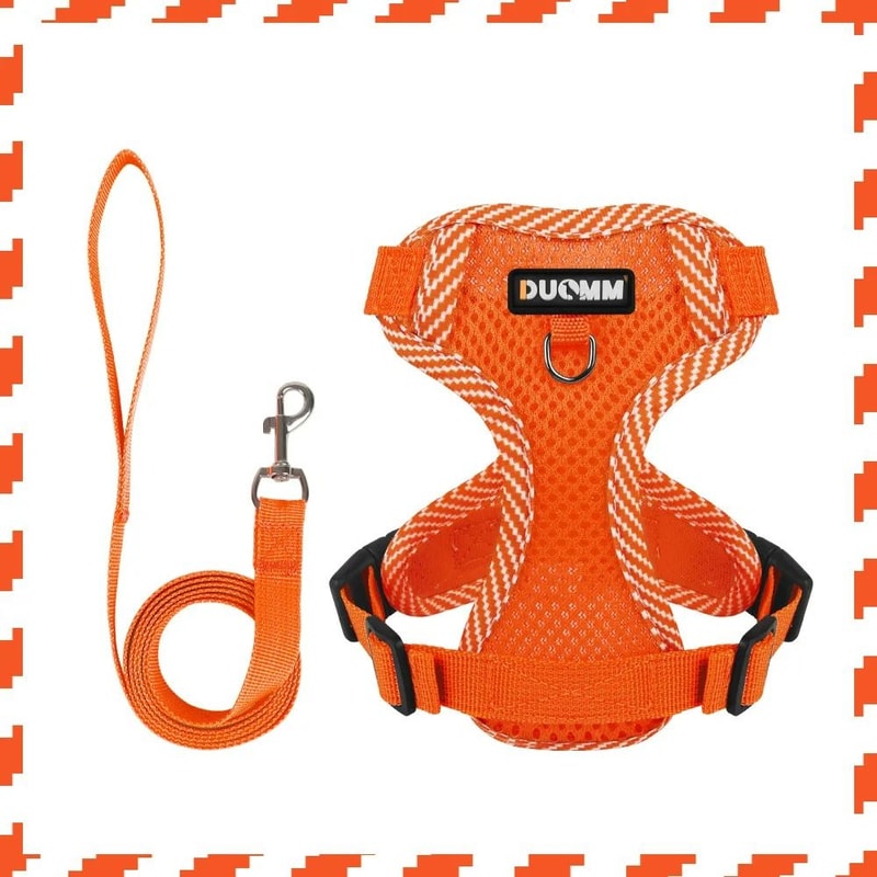 Breathable Reflective Harness Set Comfortable Patterned Vest Leash For Small To Medium Pets 10
