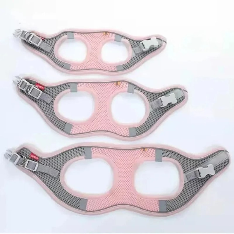 Reflective AirMesh Harness Set Breathable Adjustable Vest Leash For Dogs Cats 2