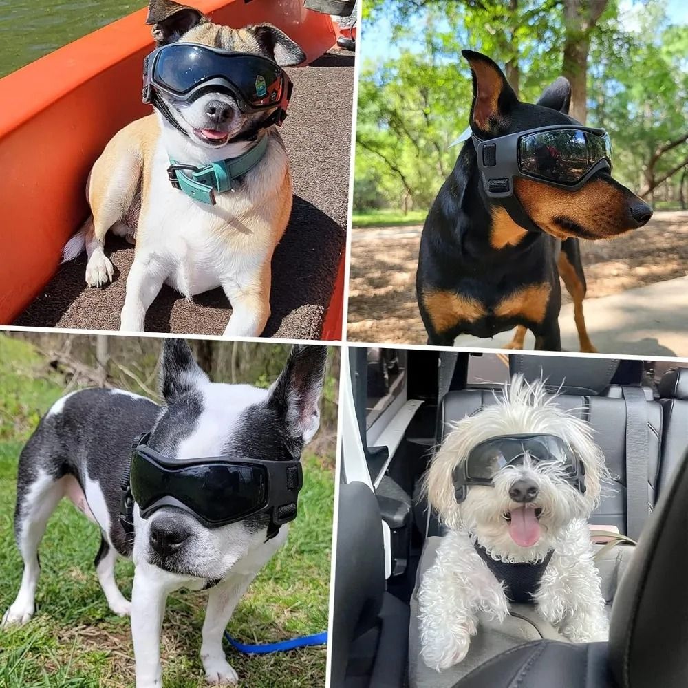 UVProtection Pet Goggles Adjustable Windproof Sunglasses With Soft Frame For Small Medium Breeds 4