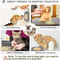 Silicone Lick Mat IndustrialStrength Suction Distraction Feeder Slow Food Plate For Dogs Cats 4