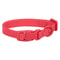 Elastic Webbing Identification Collar Waterproof Rustproof Safety Neckband For Active Dogs 1