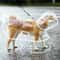 HighVisibility Transparent Pet Raincoat Waterproof Windproof Protective Suit For Small To Large D 6