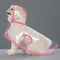 HighVisibility Transparent Pet Raincoat Waterproof Windproof Protective Suit For Small To Large D 9