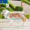HighVisibility Transparent Pet Raincoat Waterproof Windproof Protective Suit For Small To Large D 12