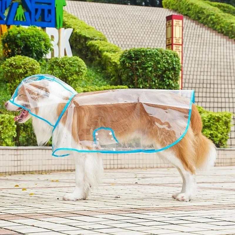 HighVisibility Transparent Pet Raincoat Waterproof Windproof Protective Suit For Small To Large D 12