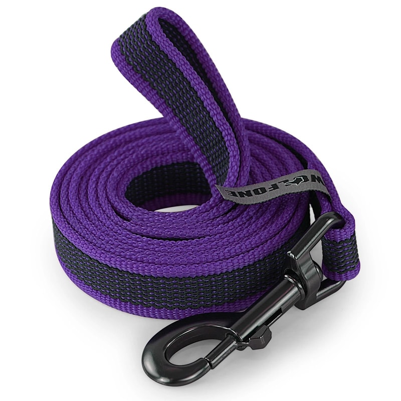 LatexThreaded NonSlip Training Leash HighGrip Long Line For Precision Recall Outdoor Training 1