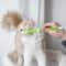 3Sided Pet Toothbrush TripleHead Dental Plaque Tartar Scrubber For Dogs Cats 3
