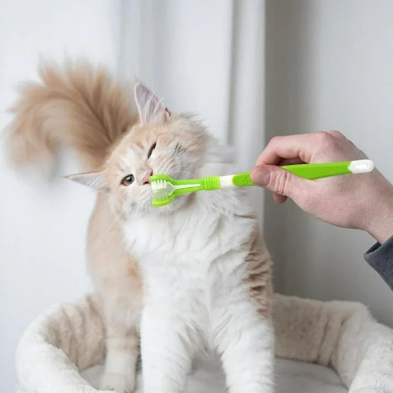 3Sided Pet Toothbrush TripleHead Dental Plaque Tartar Scrubber For Dogs Cats 3