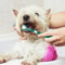 3Sided Pet Toothbrush TripleHead Dental Plaque Tartar Scrubber For Dogs Cats 5