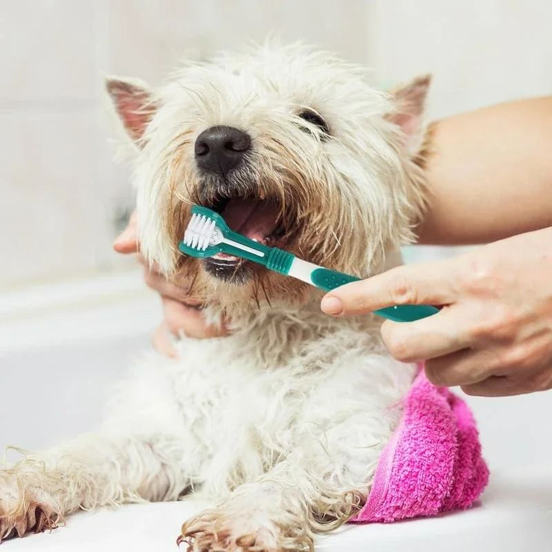 3Sided Pet Toothbrush TripleHead Dental Plaque Tartar Scrubber For Dogs Cats 5