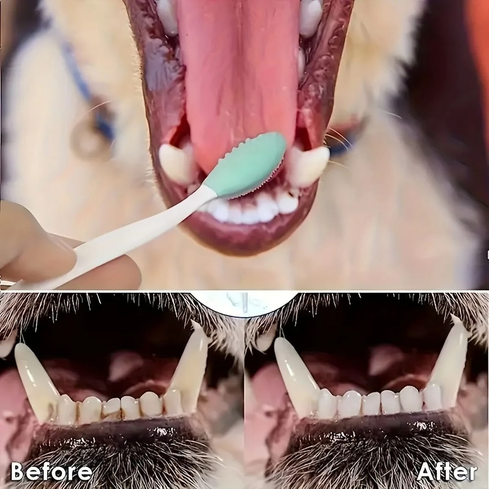 DualHead Pet Toothbrush Set Precision DoubleSided Oral Scrubber For Advanced Dental Hygiene 5