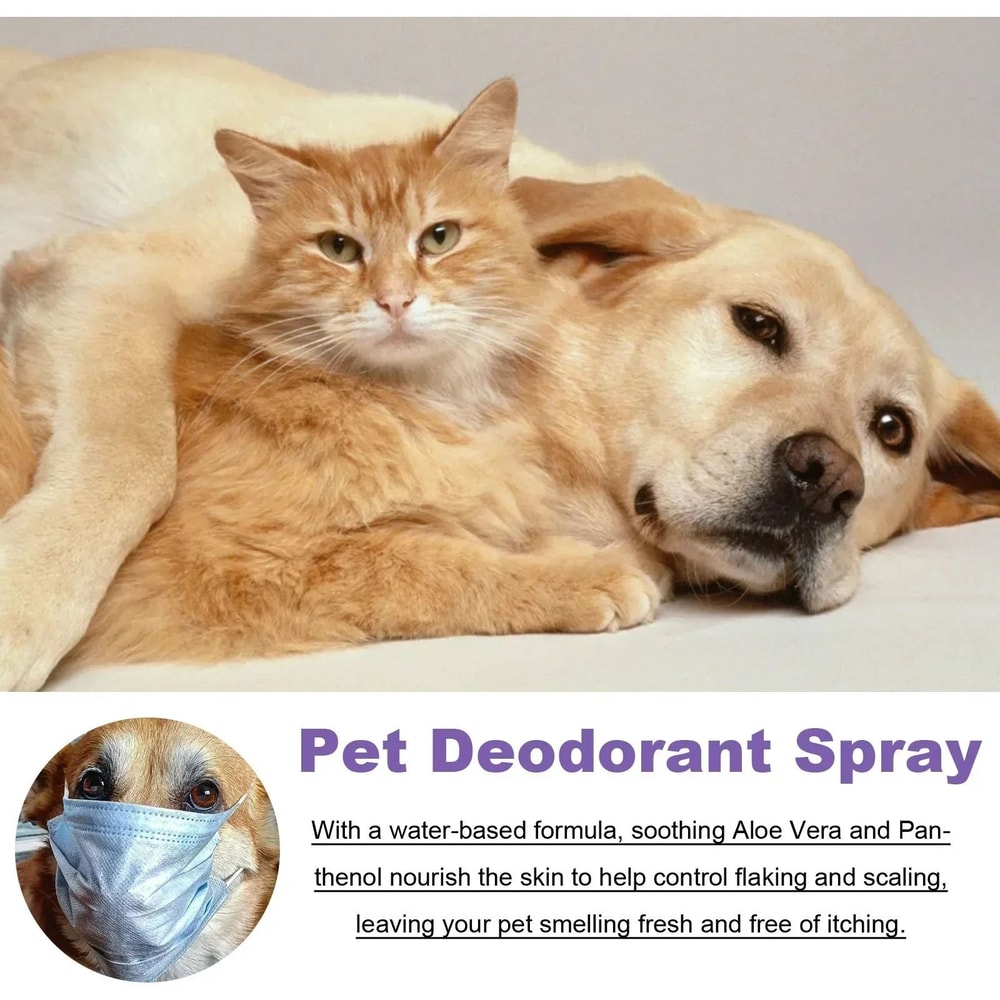 Lavender Infusion Pet Deodorizing Spray Clinical Strength AntiItch Grooming Mist Botanical Fragra 4