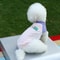 Ice Silk UV Protection Vest HighPerformance Breathable Cooling Mesh Sun Block Apparel For Dogs C 3