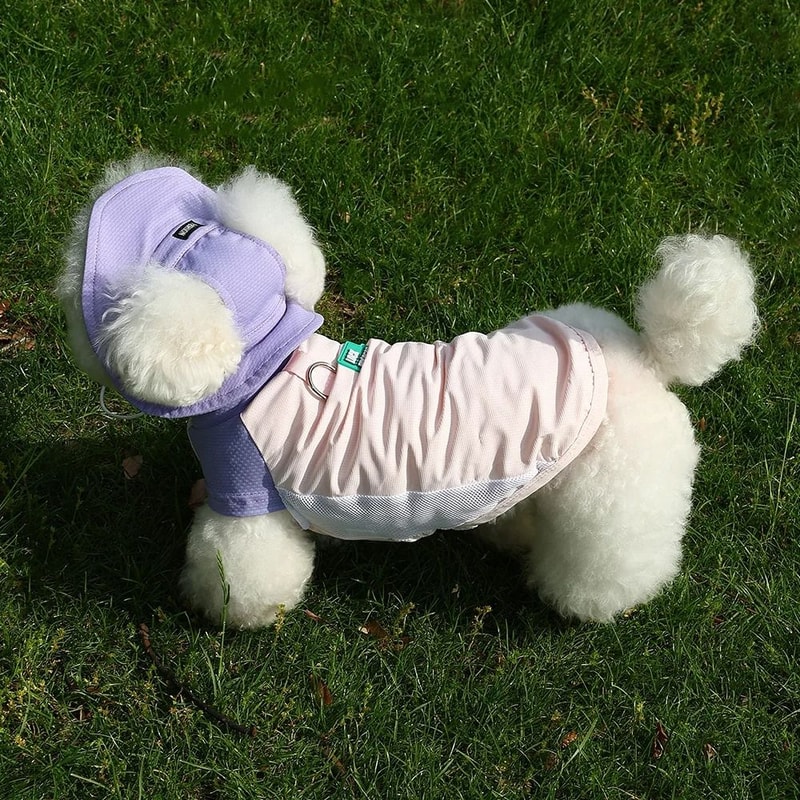 Ice Silk UV Protection Vest HighPerformance Breathable Cooling Mesh Sun Block Apparel For Dogs C 4