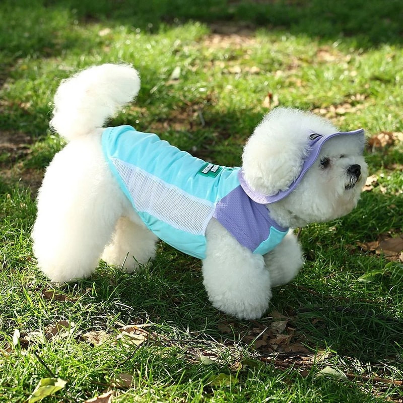 Ice Silk UV Protection Vest HighPerformance Breathable Cooling Mesh Sun Block Apparel For Dogs C 5