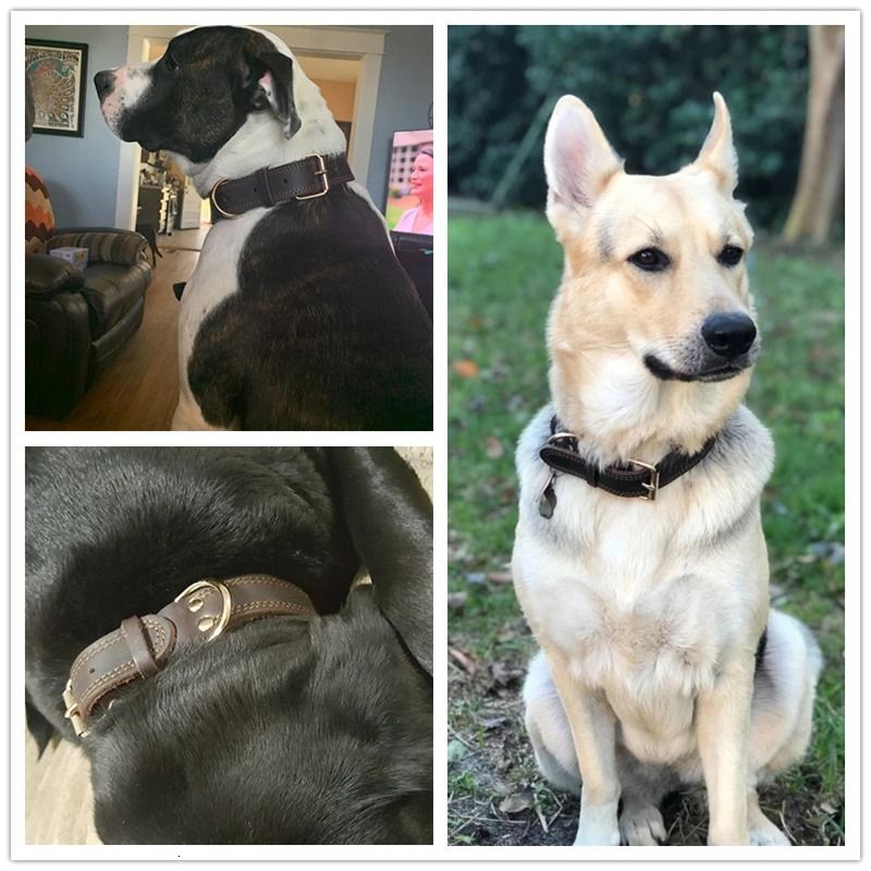 Genuine Leather Utility Collar IndustrialGrade Vintage HeavyDuty Harness For Medium Large Dogs 2
