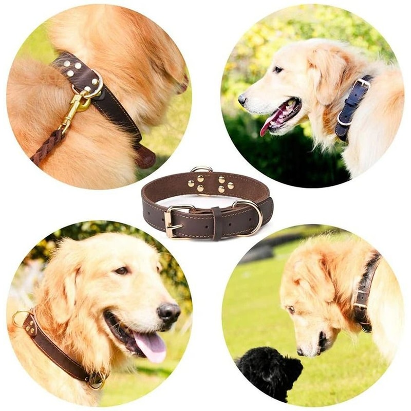 Genuine Leather Utility Collar IndustrialGrade Vintage HeavyDuty Harness For Medium Large Dogs 3