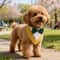 Formal Wedding Tuxedo Bandana Adjustable HighContrast Dog Bib Triangle Scarf For Weddings Engagem 1