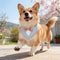 Formal Wedding Tuxedo Bandana Adjustable HighContrast Dog Bib Triangle Scarf For Weddings Engagem 3