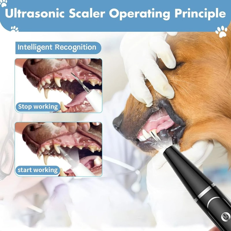 Ultrasonic Pet Dental Scaler HighFrequency Electric Calculus Remover Plaque Defense Kit For Dogs 3