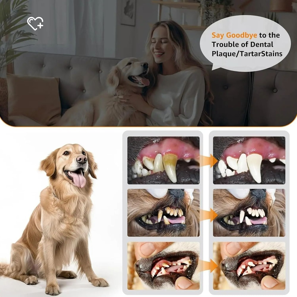 Ultrasonic Pet Dental Scaler HighFrequency Electric Calculus Remover Plaque Defense Kit For Dogs 4