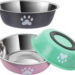 anti-skid stainless steel bowl – high-performance feeding station with integrated silicone base for dogs & cats