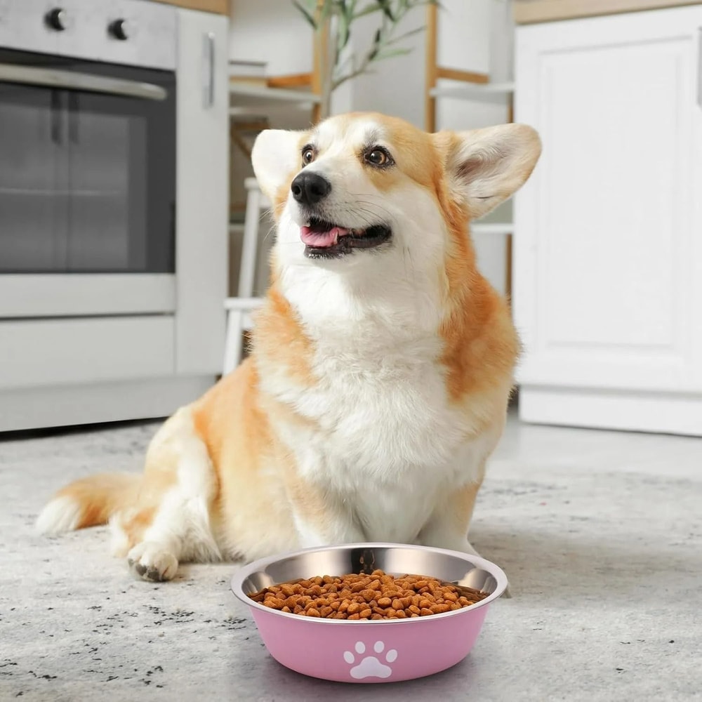 AntiSkid Stainless Steel Bowl HighPerformance Feeding Station With Integrated Silicone Base For Do 3