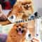 Stainless Steel Needle Grooming Comb HighDensity Massage Deshedding Brush For Dogs Cats 5