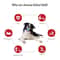 HighPerformance Rubber Rugby Squeaker IndustrialGrade Natural Rubber Chew Interactive Fetch Toy F 3