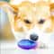 HighPerformance Rubber Rugby Squeaker IndustrialGrade Natural Rubber Chew Interactive Fetch Toy F 5