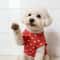 FullBody Graphic Pet Vest Soft Sleeveless Summer TShirt For Dogs Cats 6