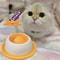 Interactive Lick Mat SlowFeeder Dental Plate Anxiety Relief Station For Dogs Cats 5