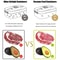 VacuumSealed Freshness Management System HighPerformance Refrigerator Food Storage Container Drai 2