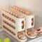 4Tier GravityFlow Egg Management System Automatic Rolling HighCapacity Storage Box For Refrigerato 1