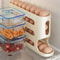 4Tier GravityFlow Egg Management System Automatic Rolling HighCapacity Storage Box For Refrigerato 4