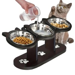 elevated stainless steel pet feeder with 15° sloped wooden frame