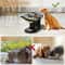 Elevated Stainless Steel Pet Feeder With 15 Sloped Wooden Frame 2