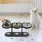 Elevated Stainless Steel Pet Feeder With 15 Sloped Wooden Frame 3