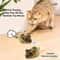 Interactive Squeaky Plush Mouse Cat Toy 3