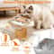 Elevated TripleBowl Pet Station With Professional Wood Stand 3